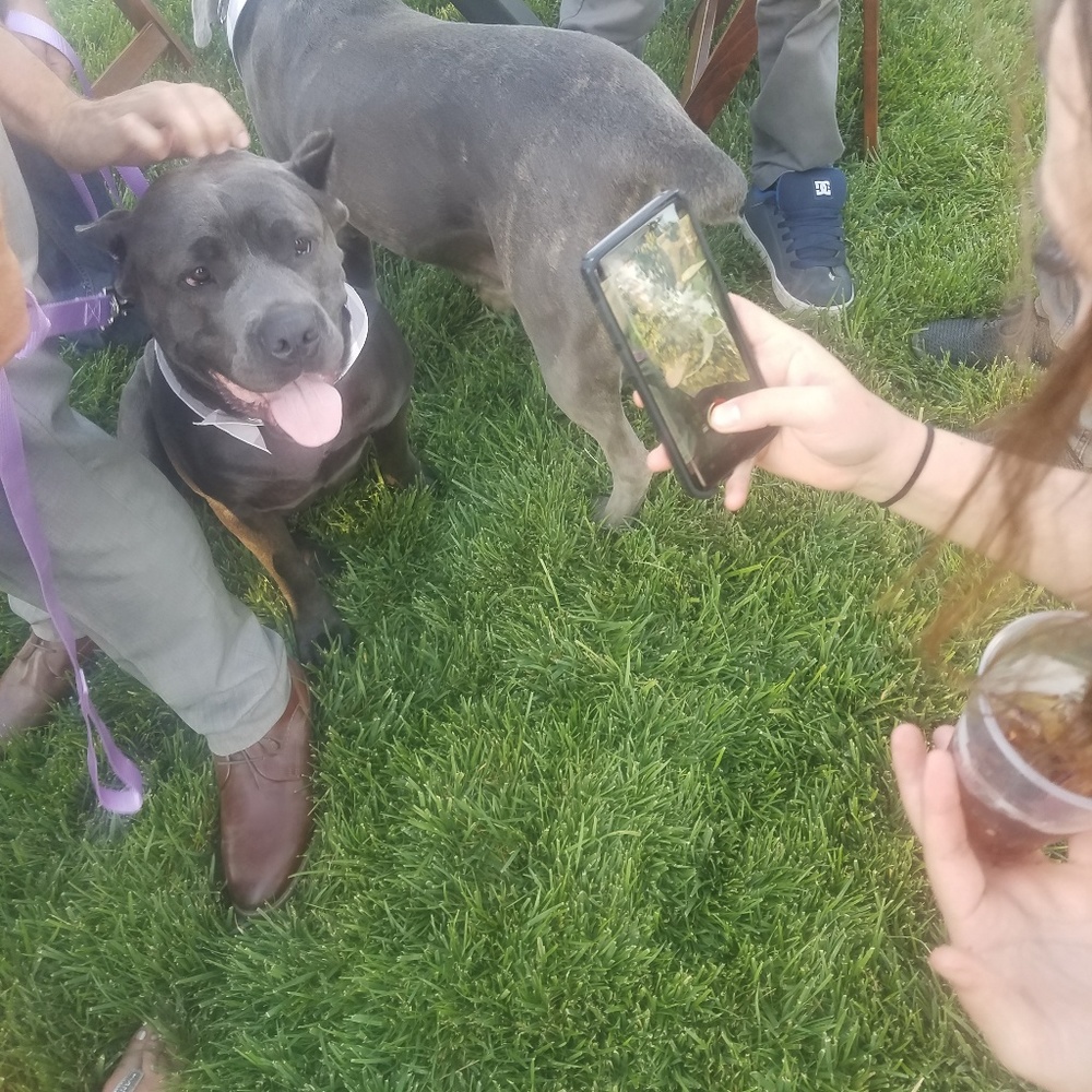 Meet your Posher, Tiffany